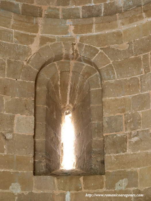 ANO DEL CILINDRO ABSIDAL